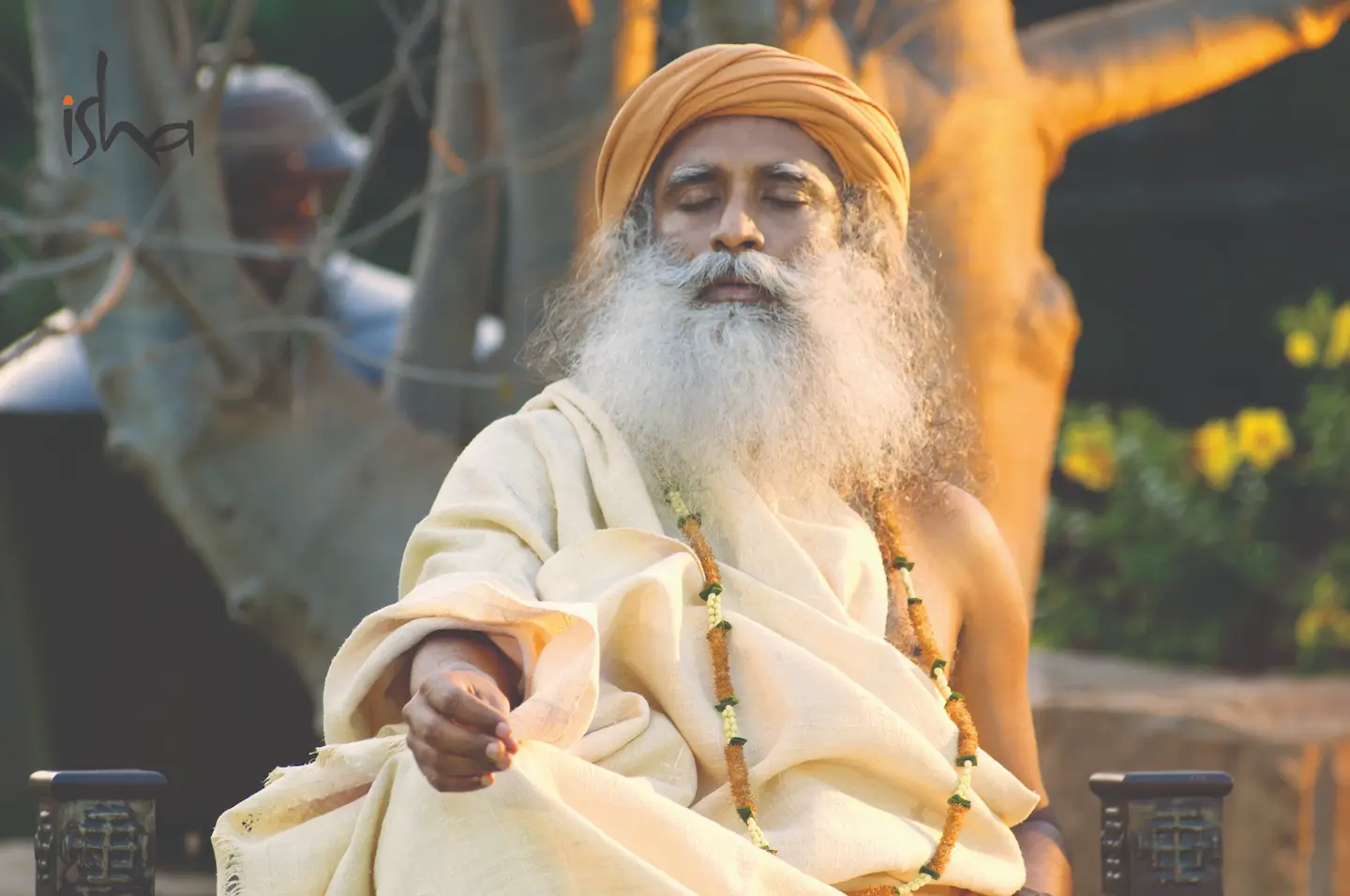 Sadhguru image